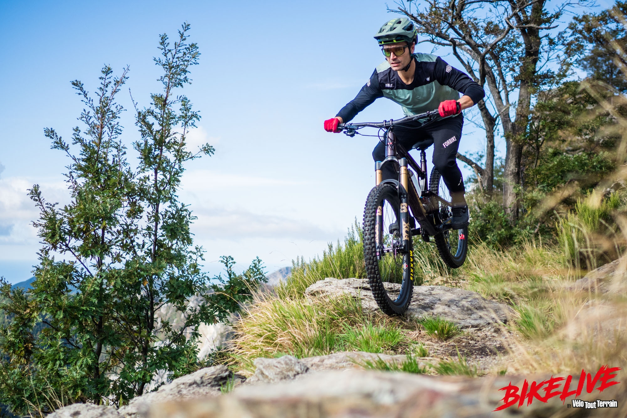 Santa Cruz Nomad X01 Reserve (8)