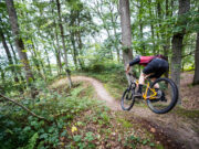 Nouveau Santa Cruz Chameleon