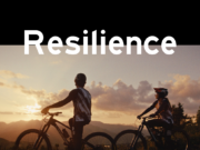Lapierre Zipp Collective : Resilience