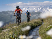 Scott travel : la nouvelle plateforme de voyage !