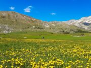 Des parcours VTT-AE dans le Dévoluy