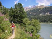 Transmaurienne-Vanoise : Bruno Vitali et Estelle Morel s’imposent avec brio !