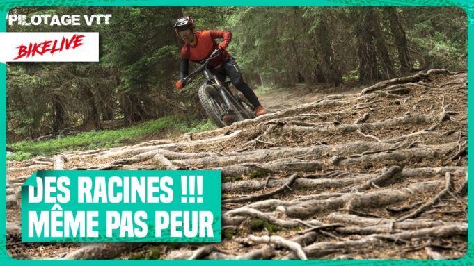 N’ayez plus peur des racines