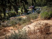 Eddie Reynolds : « the good days », esprit West Coast !