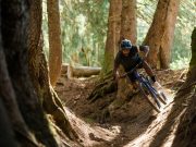 Nouveau Santa Cruz Tallboy