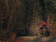 LIV Factory Racing/ Collective