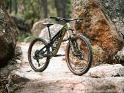 Nouveau Canyon Neuron