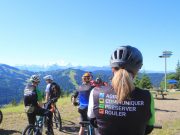 Job à la MBF : alternant(e) marketing /commerce