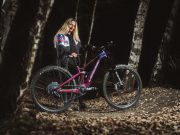 Lapierre ZIPP Collective 2023