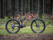 Rotwild R.X275 eAssist