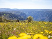 Lozérienne VTT 2023