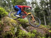 Giant Glory Advanced