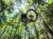 Hugo Laugier : Switch