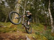 Nouveaux Sunn Shamann