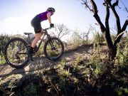 LIV Pique Advanced Pro 29