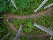 Vidéo du jour : John Richardson