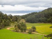 La Lozérienne, c’est parti !