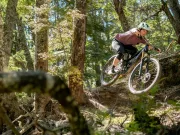 Nouveau Pivot Firebird