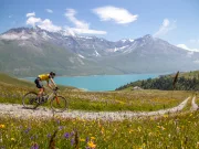 Cycling challenge 2025