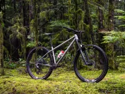 Forbidden Heathen / Puritan