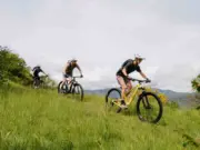 Nouveau Scott Spark DC