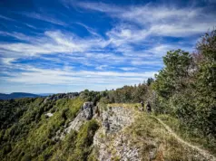 La Forestière : embarquez avec nous au cœur du Jura !