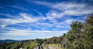 La Forestière : embarquez avec nous au cœur du Jura !