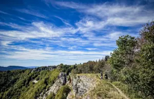 La Forestière : embarquez avec nous au cœur du Jura !